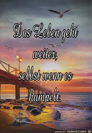 Das-Leben-geht-weiter.jpg auf www.funpot.net