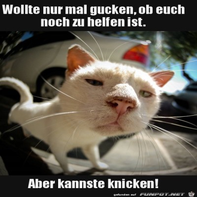 Ist-nichts-zu-machen.jpg von Jonah