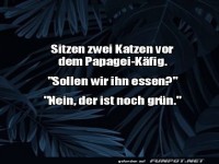 Da hat der Vogel Gl�ck gehabt