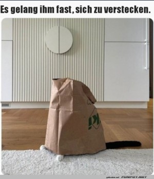 Fast-gelungen.jpg auf www.funpot.net
