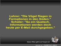 Lehrer: Die Vögel fliegen in Formationen in den Süden