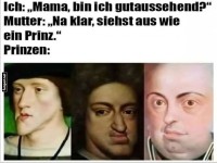 Lustiges Vergleichs-Meme mit Prinzen