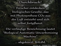 Biologisches Gewebe entdeckt: CO2-Entzug