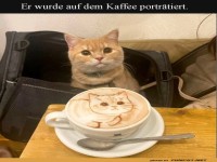 Kaffeekunst: Ein Katzengesicht zum Trinken!