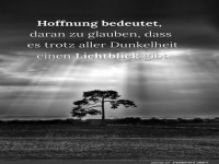 Wenn die Sonne den Baum kitzelt!