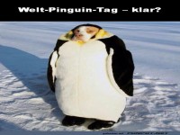 Welt-Pinguin-Tag