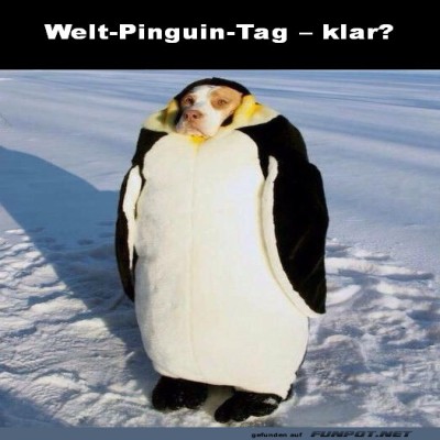 Welt-Pinguin-Tag.jpg von Justus2002
