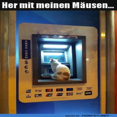 Her-mit-den-M&auml;usen.jpg von Brenda22