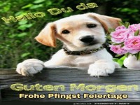 schoene Pfingsten
