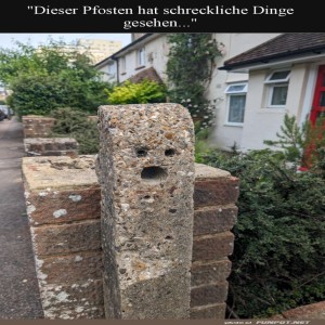 Der-erstaunte-Pfosten.jpg von Felia-51