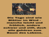 weiter