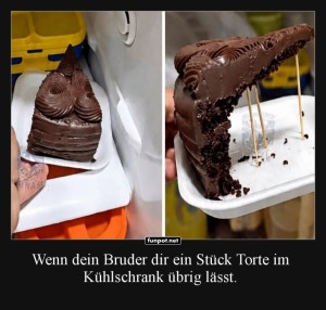 Br�derlicher-Tortenkampf.jpg auf www.funpot.net