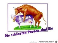 Die schönsten Pausen sind lila