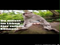 du musst Eier zeigen koennen