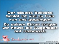 Der-allseits-beliebte-Schlaf