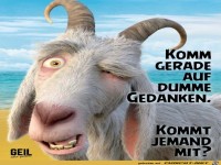 Komm gerade auf dumme Gedanken