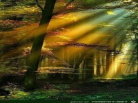 Wunderbare Orte auf dem Planet Erde