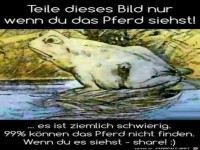 Teile dieses Bild nur wenn du das Pferd siehst !