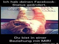 Facebook-Status ge�ndert