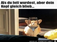 Du bist fett geworden