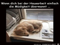 M�de geworden