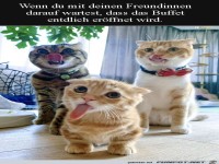 Wann wird das Buffet er�ffnet?