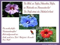 Ein Blick, ein Gr��en 2