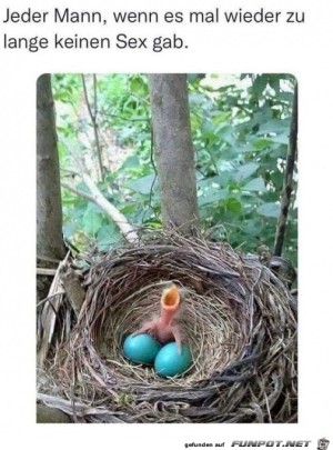 Jeder-Mann.jpg auf www.funpot.net