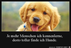 Ich-mag-Hunde.jpg auf www.funpot.net