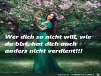 Wer dich so nicht will