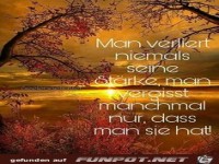 Man verliert niemals seine Strke