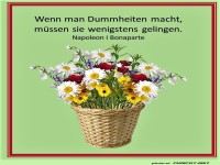 Wenn man Dummheiten macht