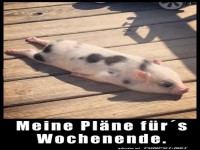 Pl�ne f�rs Wochenende