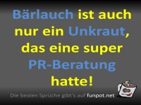 B�rlauch: Unkraut mit PR-Beratung