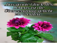 das groe glck des lebens