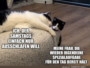 fun-Bild: Kampf der Samstagspl&auml;ne