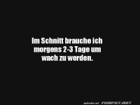 Morgenmuffel auf hohem Niveau