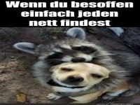 Betrunkene Freundschaften: Einzigartige Umarmung