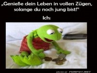 Wenn 'volle Z�ge' nur noch M�nzen z�hlen hei�t!