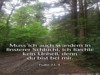 Psalm 23 4