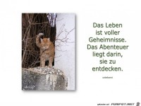 Das Leben ist