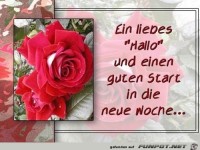 ein liebe Hallo....