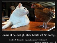 sei nicht beleidigt......