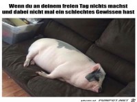 Mein freier Tag