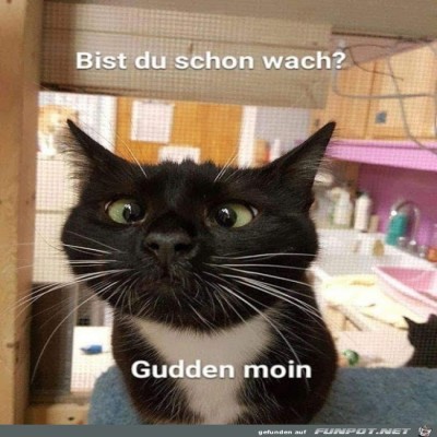 Guten-Morgen.jpg von Desiree