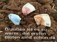 Diese Bl�ten sind toll