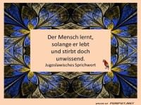 Der Mensch lernt
