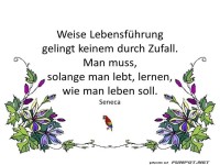 Weise Lebensfuehrung