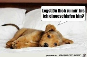 Legst-du-dich-zu-mir?.jpg auf www.funpot.net