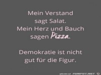 Mein Verstand sagt